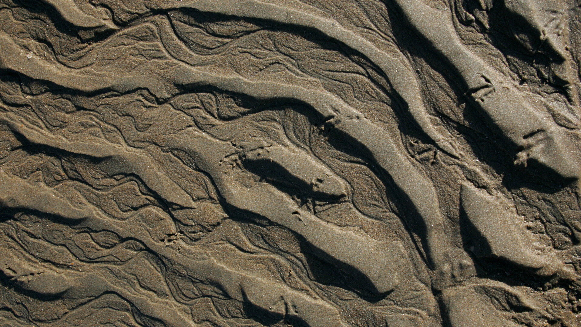 Sandmuster mit wellenförmigen Strukturen, die durch Wasserströmung entstanden sind und kleinen Tierspuren, die über die Sandrippen verlaufen