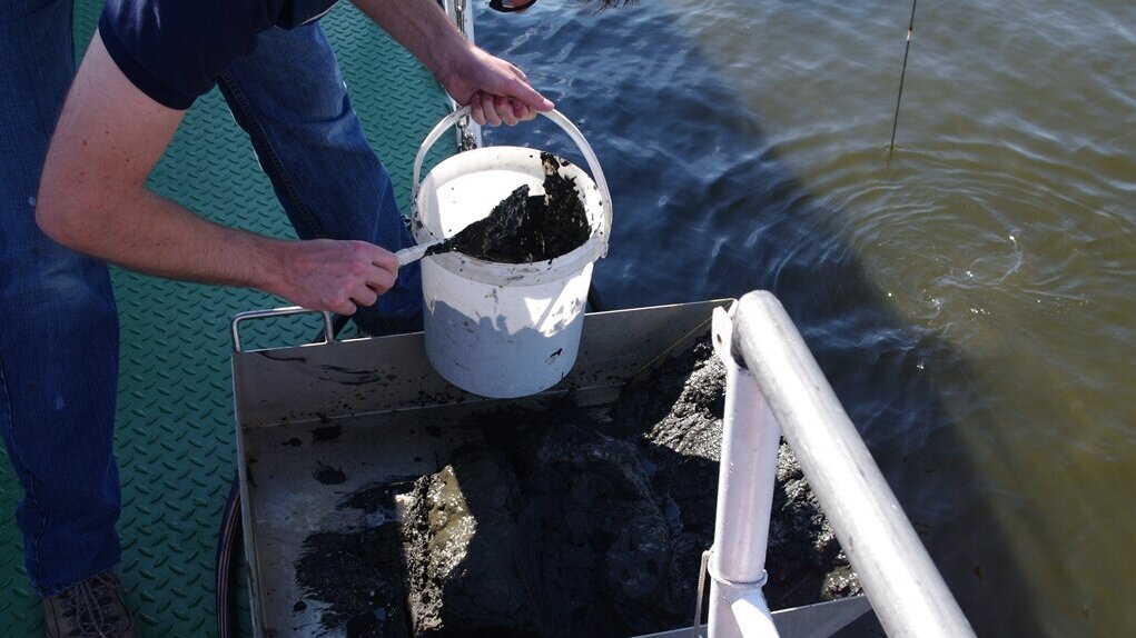 Eine Person auf einem Boot füllt mit einem Spachtel Schlick von einer Ablagefläche in einen weißen Eimer. Daneben ist Wasser zu sehen, aus dem der Schlick stammt.