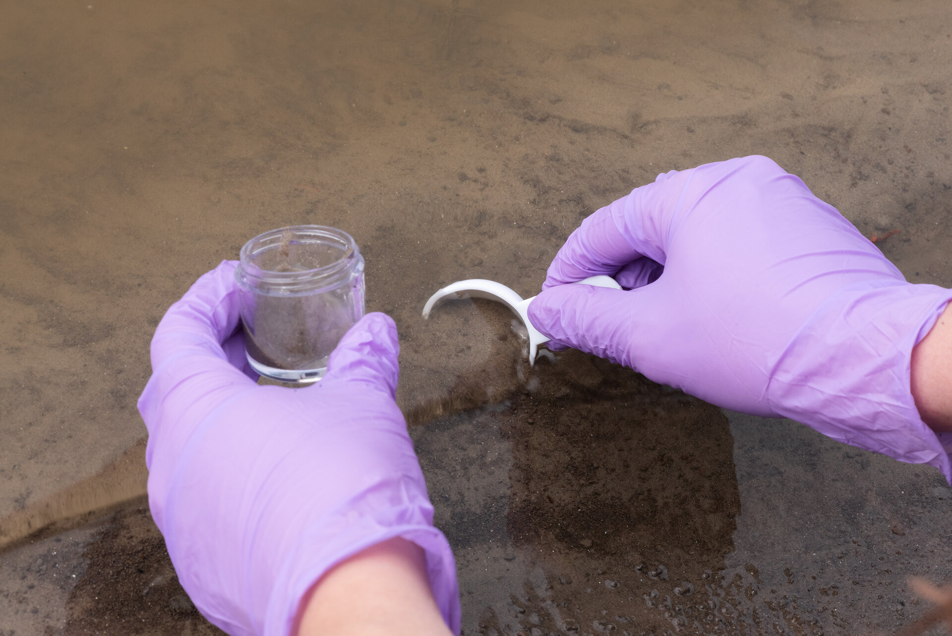 Zwei Hände mit lila Handschuhen entnehmen mit einem kleinen Löffel und einem Glasgefäß eine Sedimentprobe aus einem Gewässer