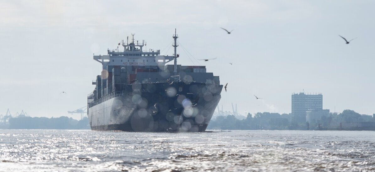 Ein Containerschiff fährt auf der Elbe, umgeben von Möwen. Sonnenlicht spiegelt sich auf dem Wasser, im Hintergrund ist der Hamburger Hafen zu sehen.